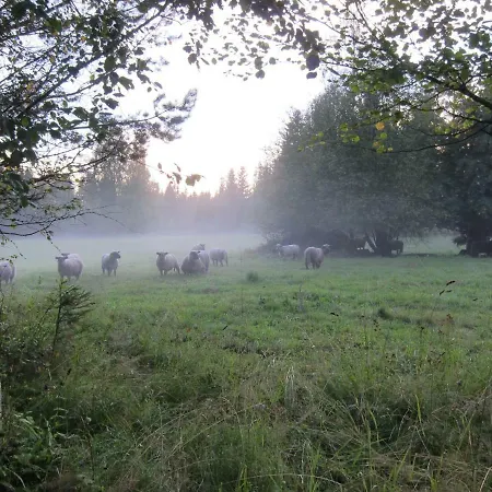 Jouhkolan Lumon Kiviniemi