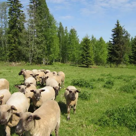 Jouhkolan Lumon Kiviniemi